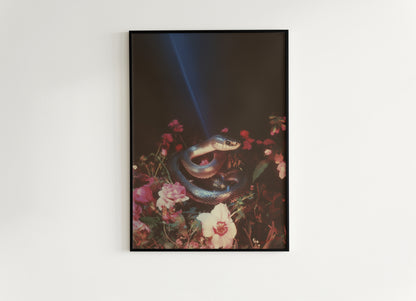 Dark Lush Floral Snake Wall Art Poster, Moody Botanical Wall Art Printable, Gothic Dark Academia Aesthetic Wall Decor